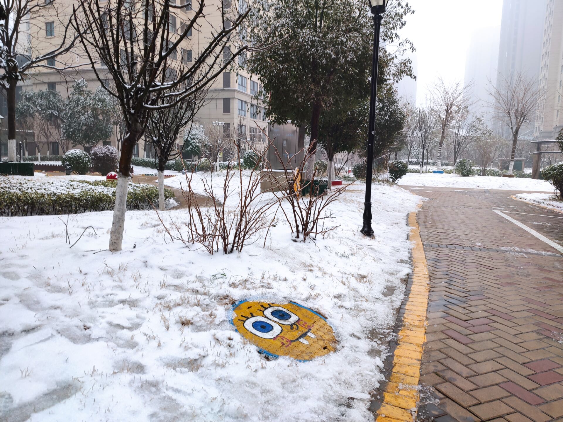 小区雪