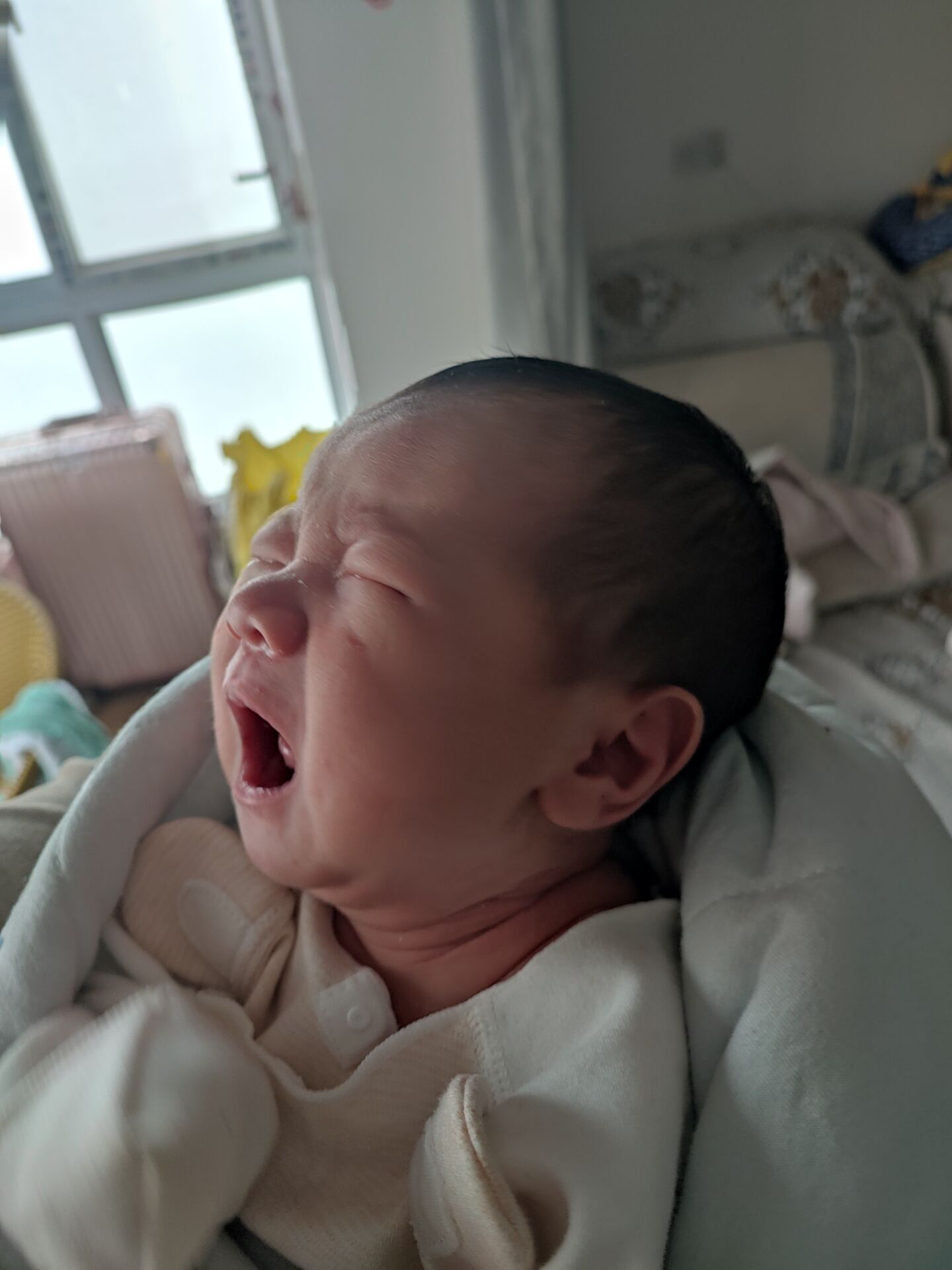 小侄儿